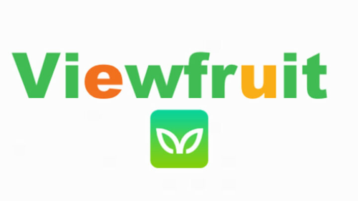 Viewfruit 評價 2022 – Viewfruit合法還是騙局？